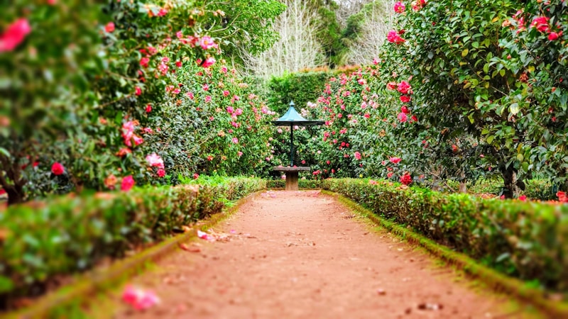 Beautiful landscape design by Aragon Landscaping